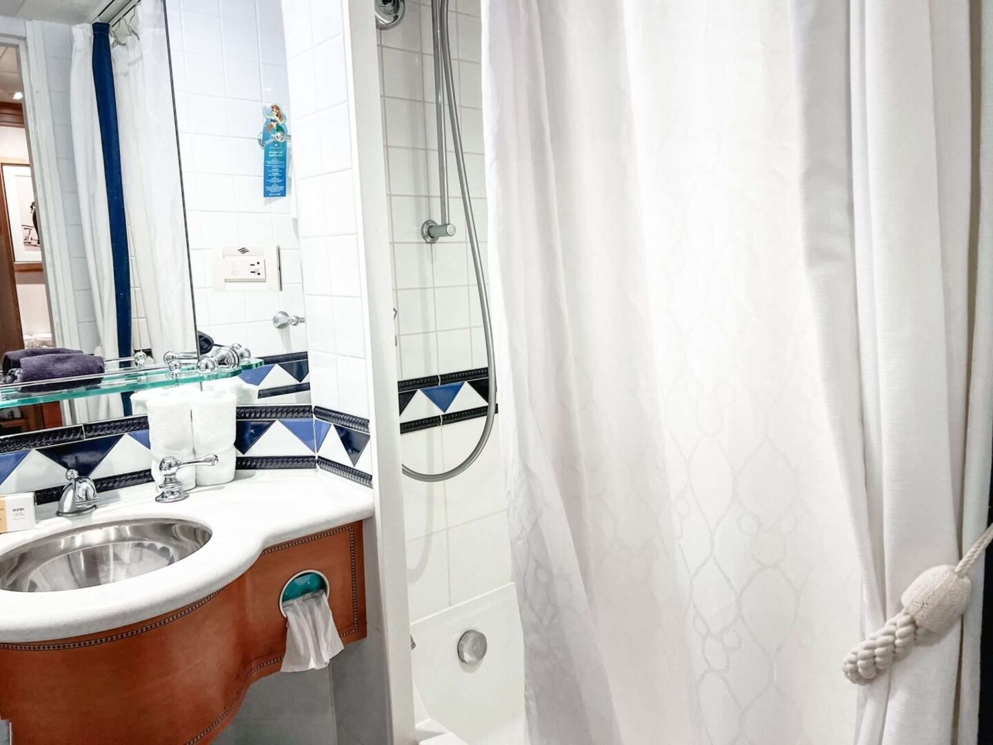 Shower Disney Cruise