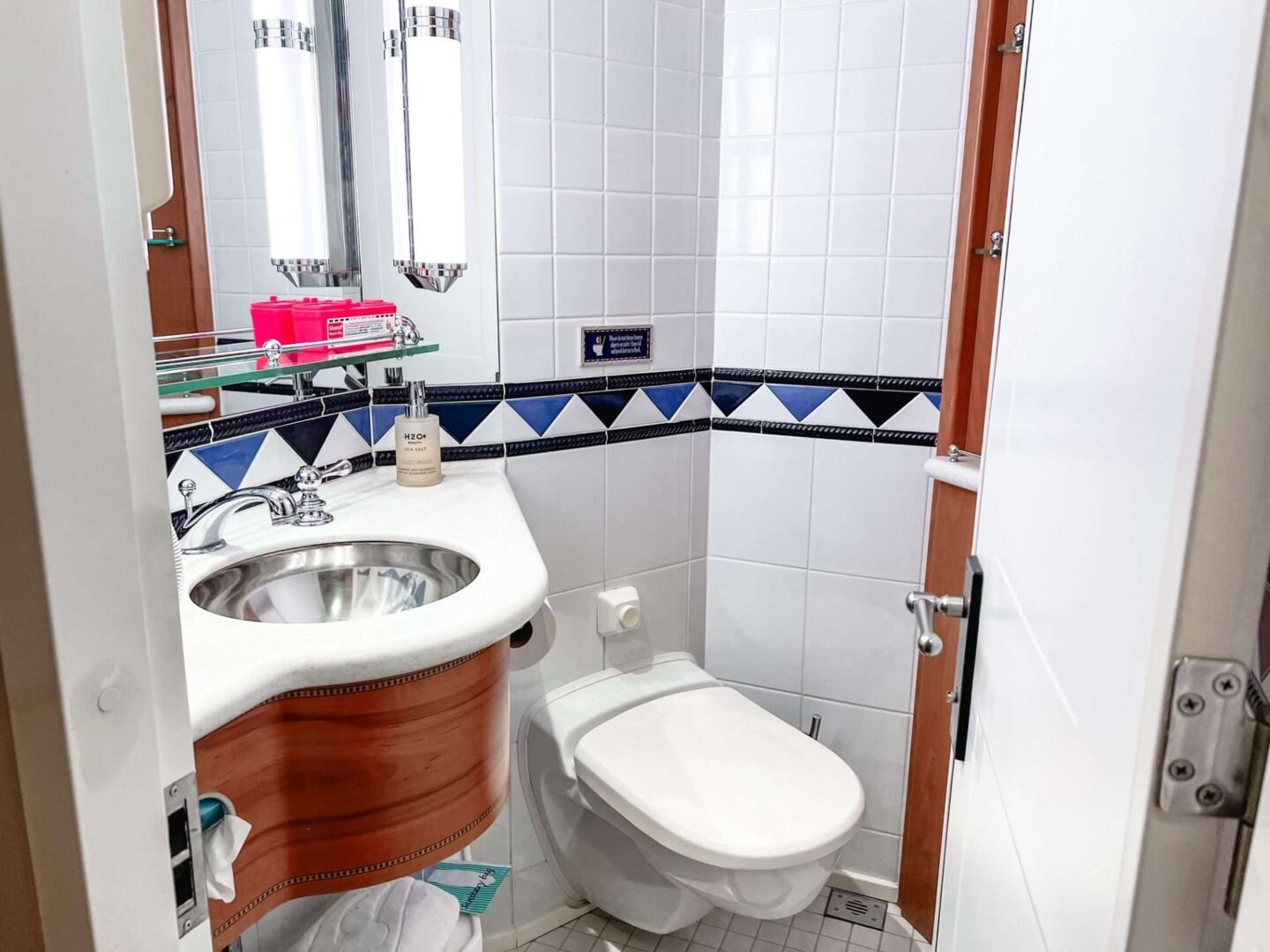Disney Wonder Bathroom