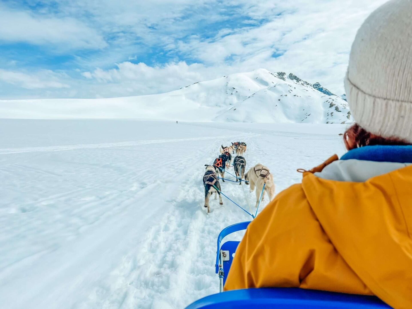 Dog sledding in Alaska Disney Cruise