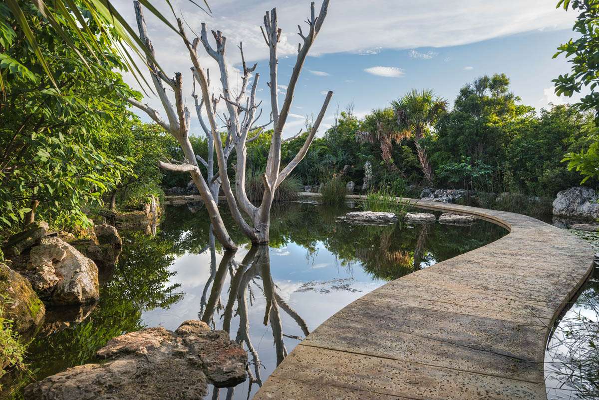 Leon-Levy-Native-Plant-Preserve-Stephen-Dunn-Photography