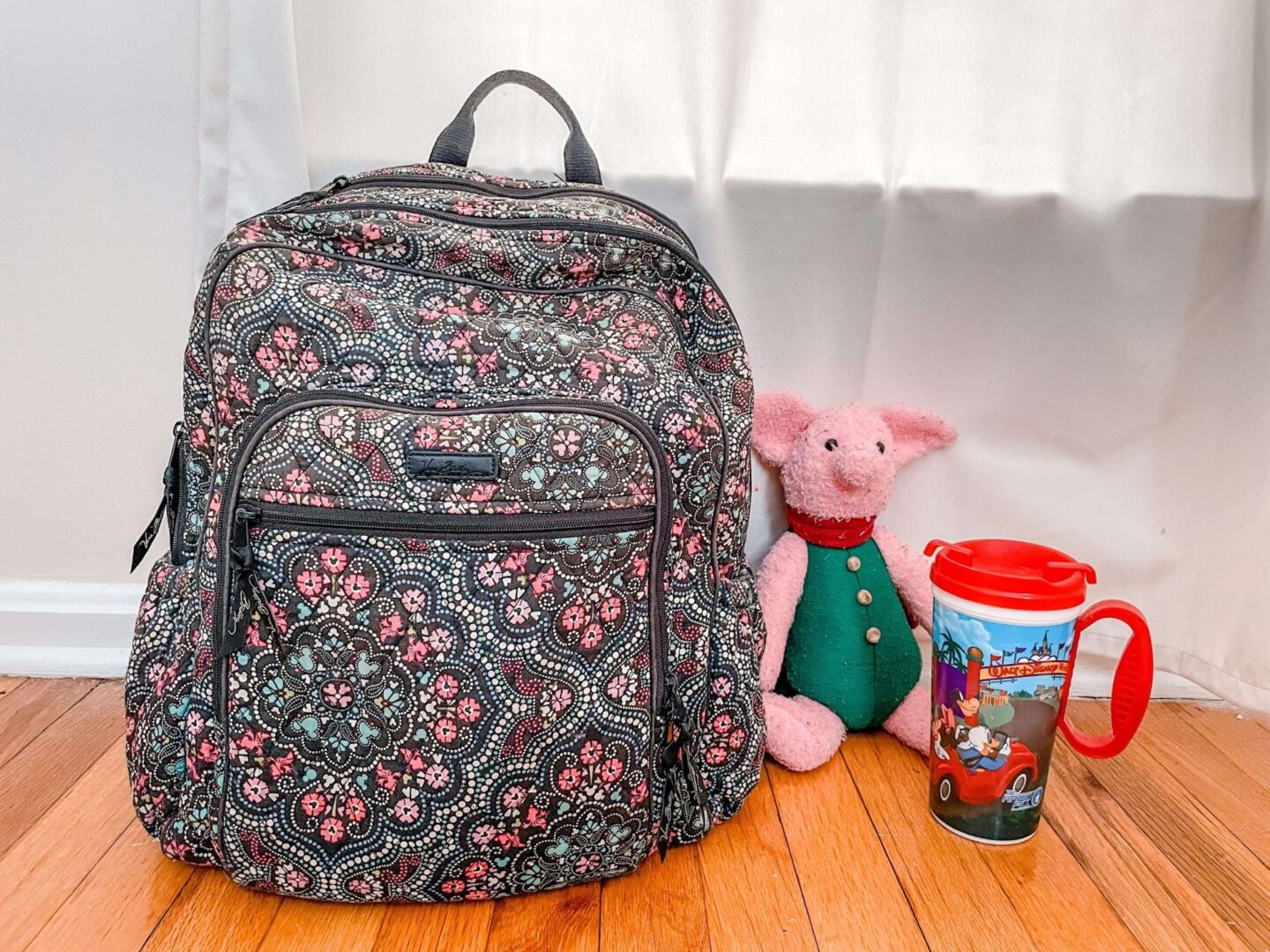 Disney Backpack for Cruise