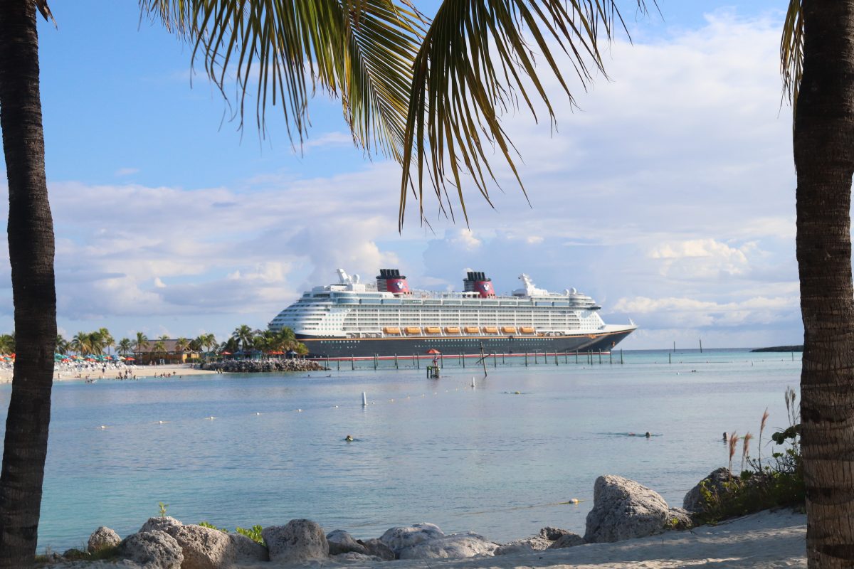 Disney Cruise Ship and Palm Trees Docked at Castaway Cay