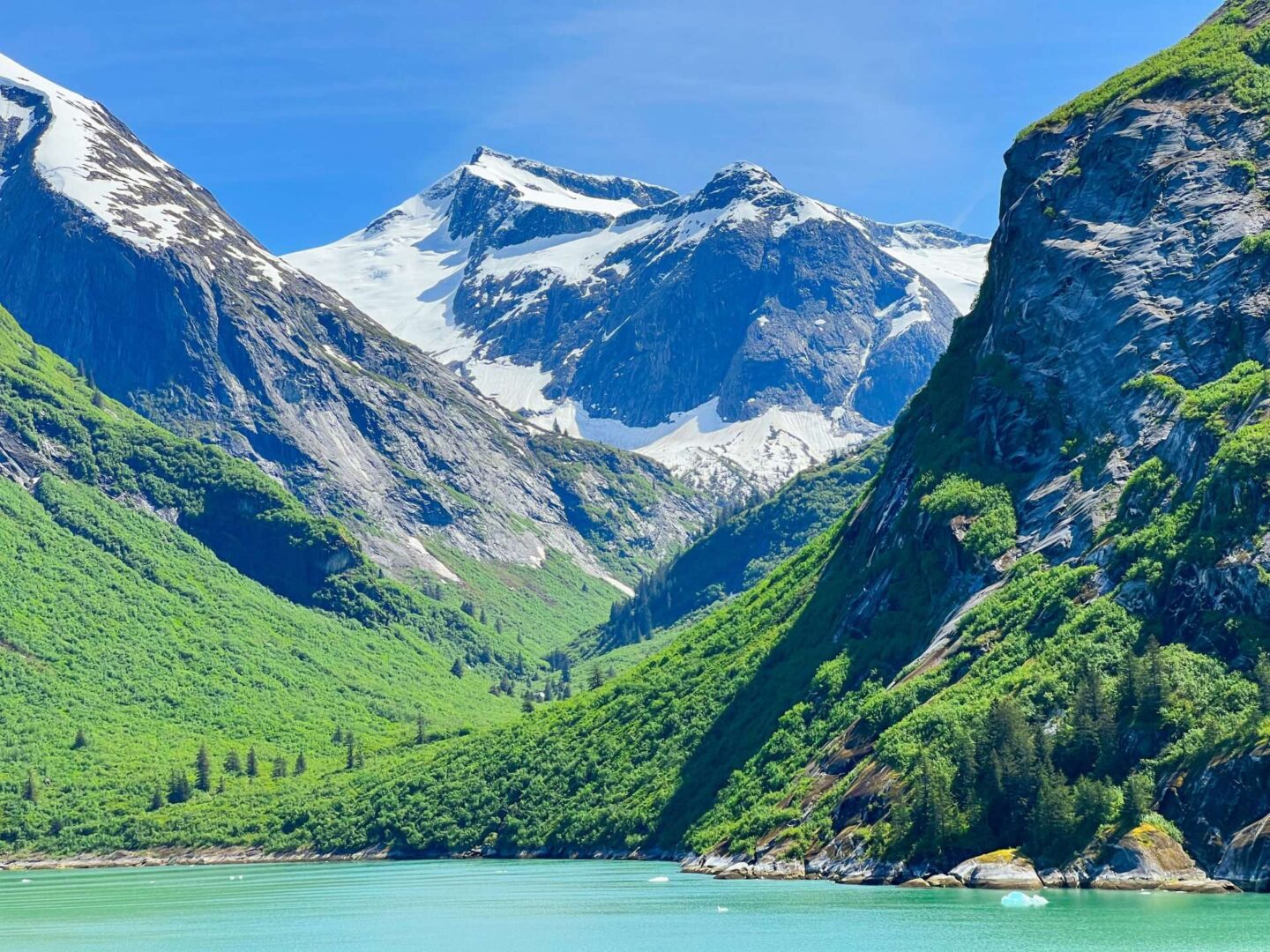 Disney Alaska Views Cruise Inner Passage 