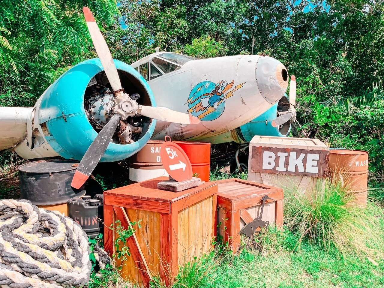 Disney Castaway Cay Plane Donald Duck 5k