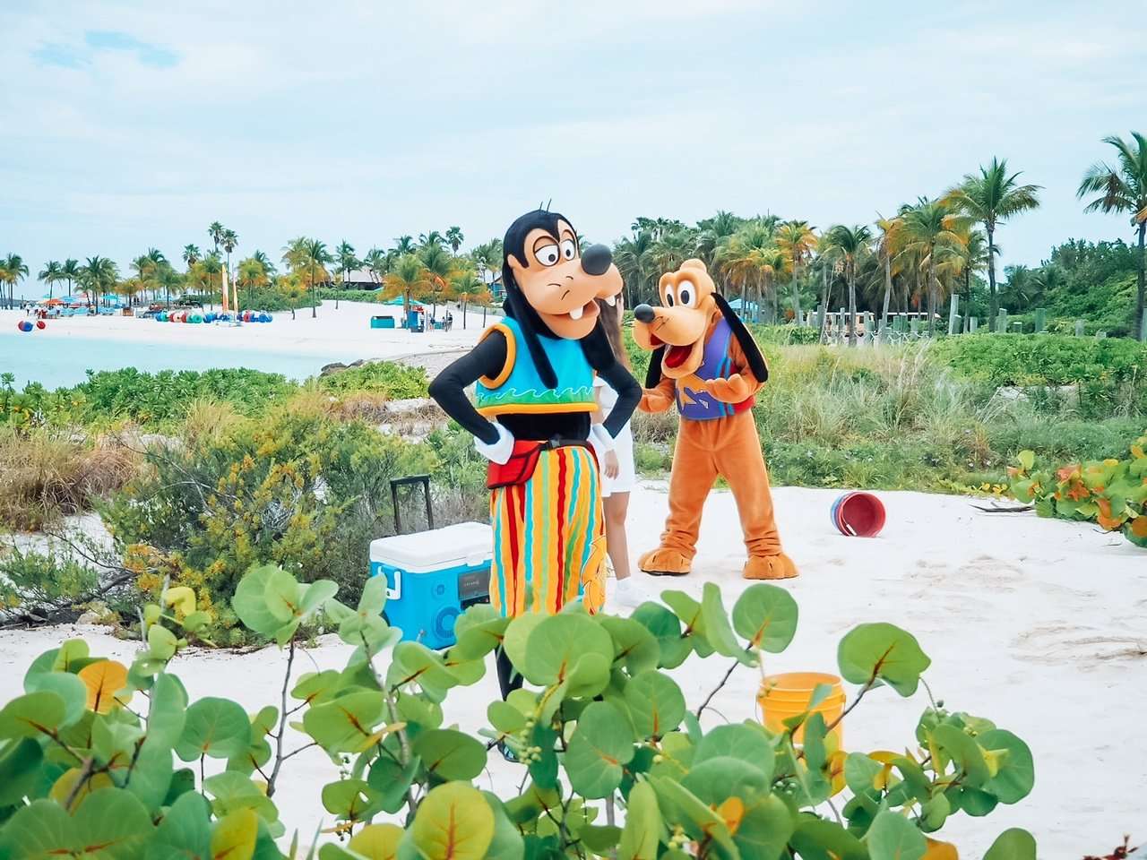 Goofy and Pluto on Castaway Cay