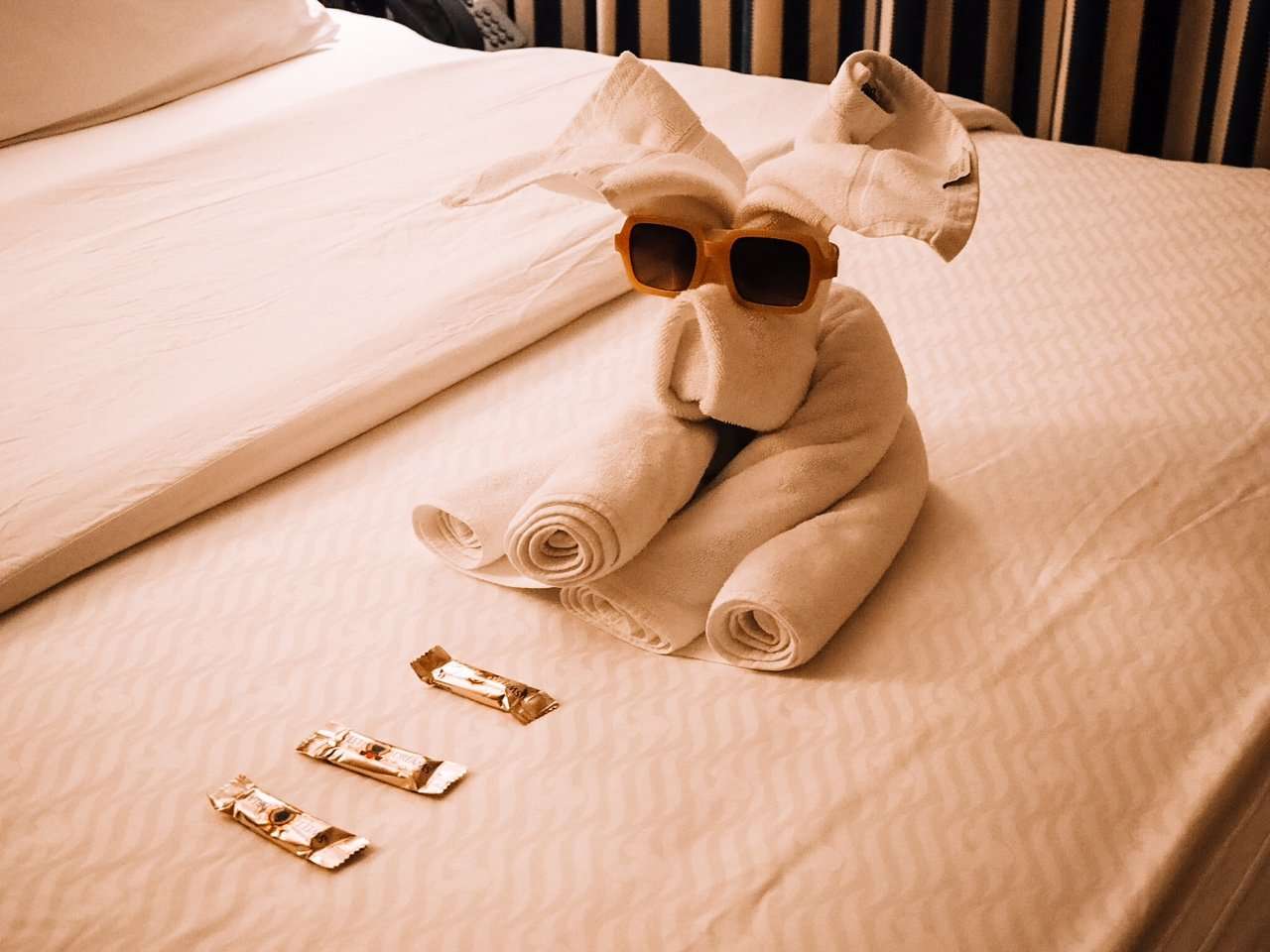 Towel Friends on a Disney Cruise Ship Elephant and Chocolates