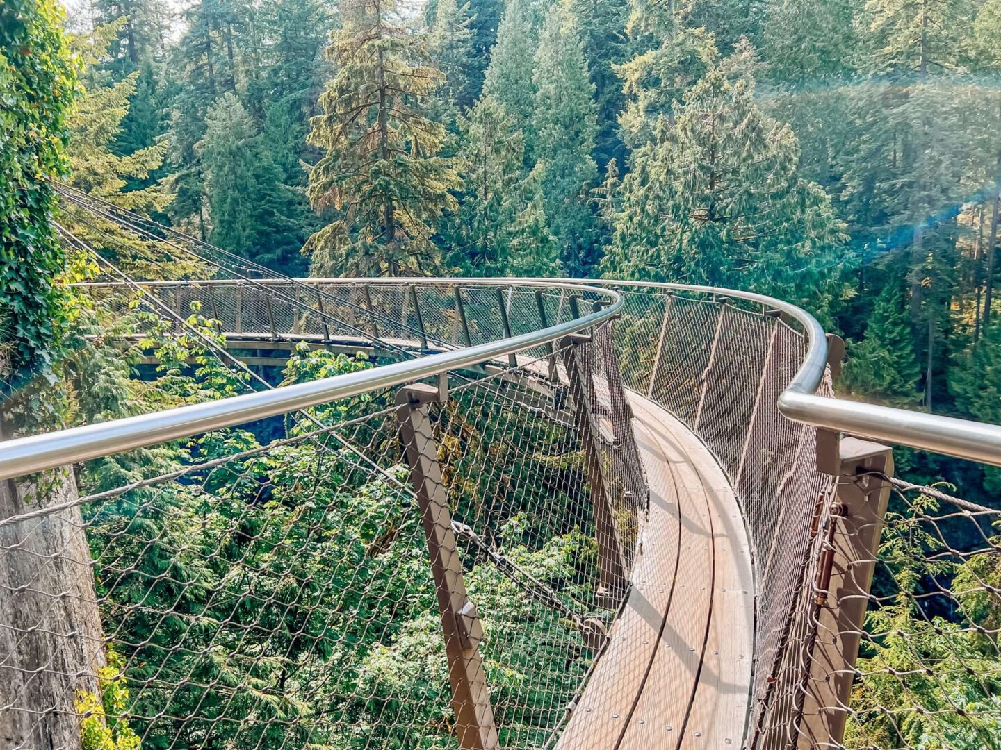 Suspension Bridge in Vancouver BC