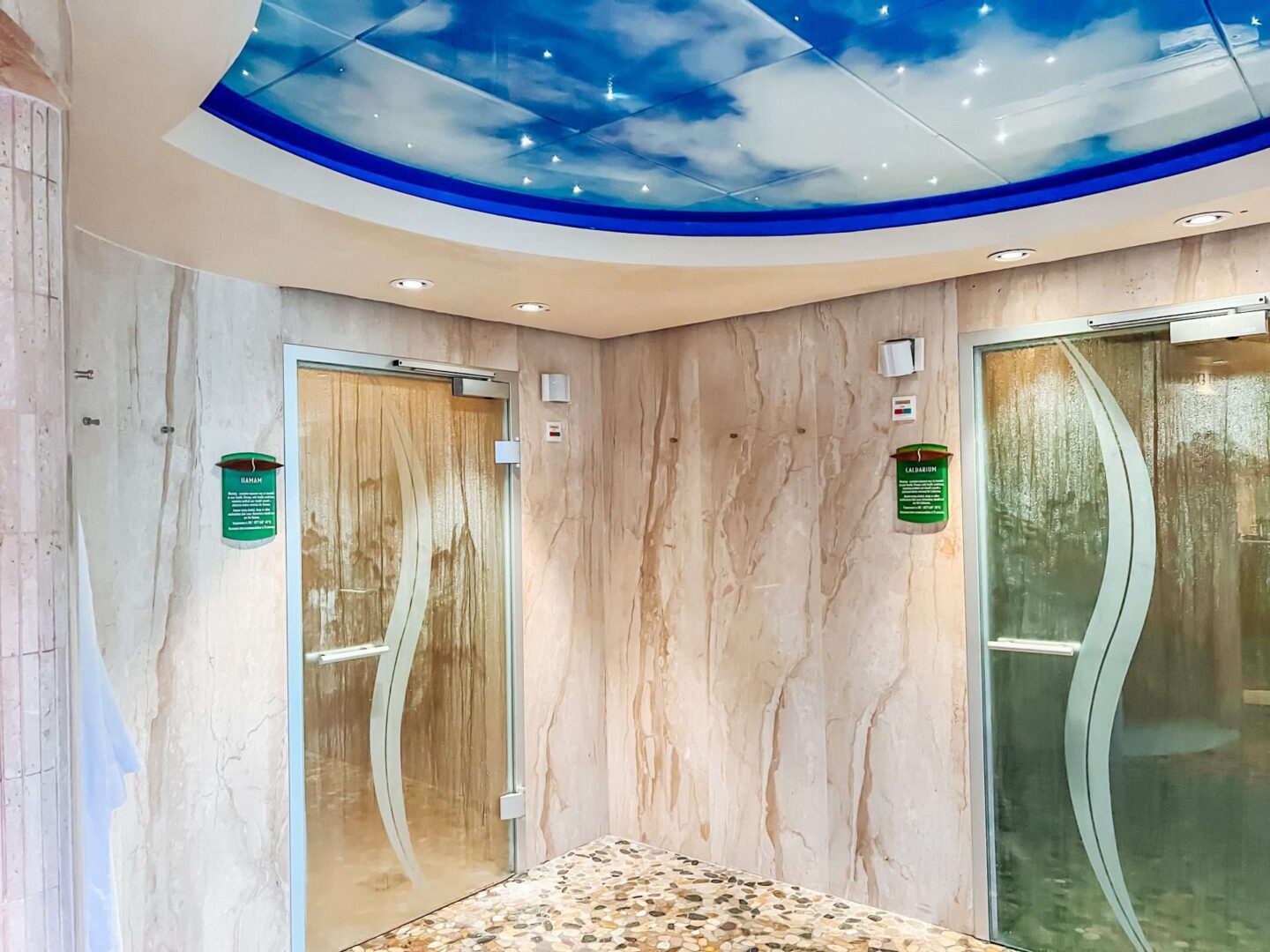 Disney Cruise Rainforest Room Steam Rooms