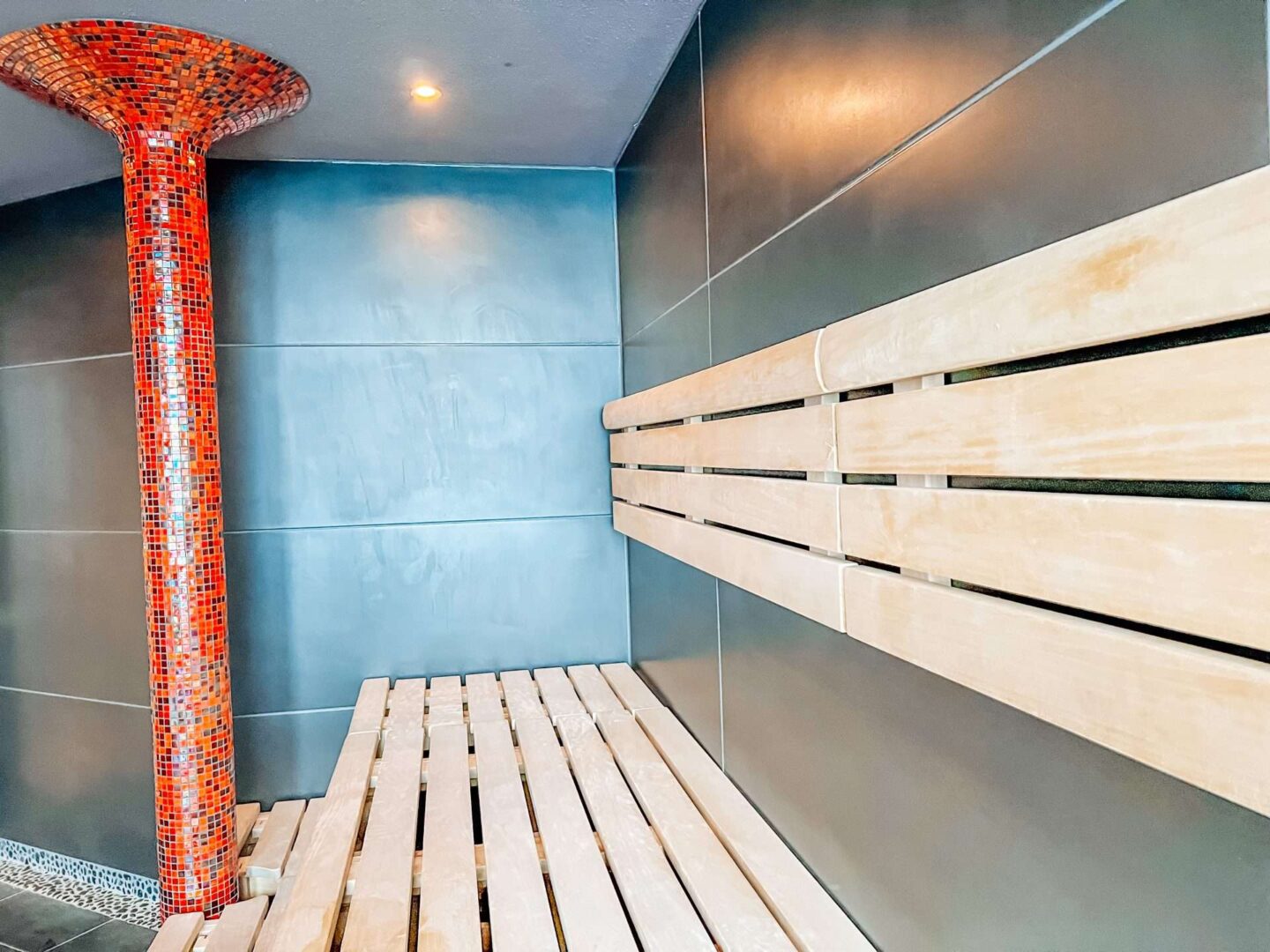 Disney Cruise Rainforest Room Sauna