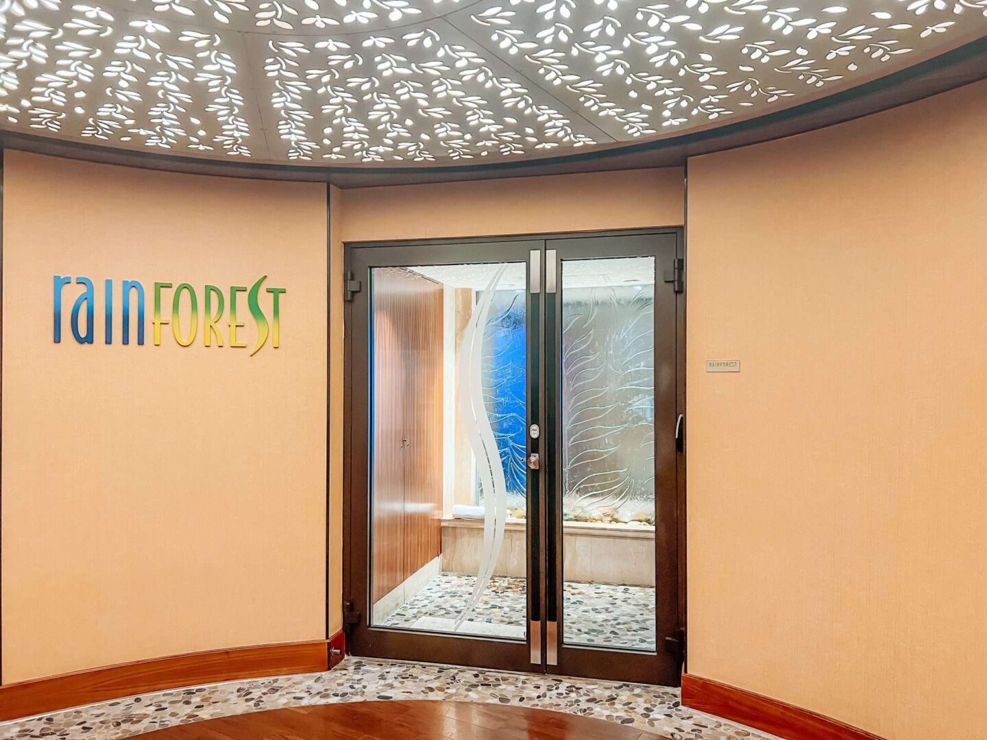 Rainforest Room on the Disney Dream Details