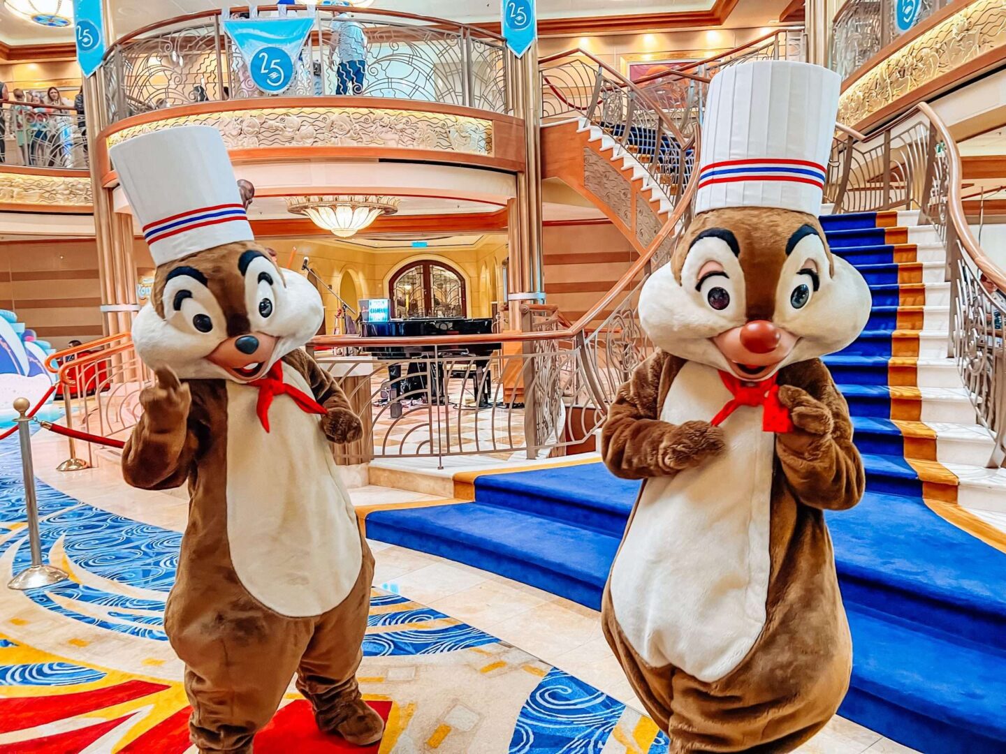 Disney Cruise Chip and Dale Meet and Greet Chef Outfits