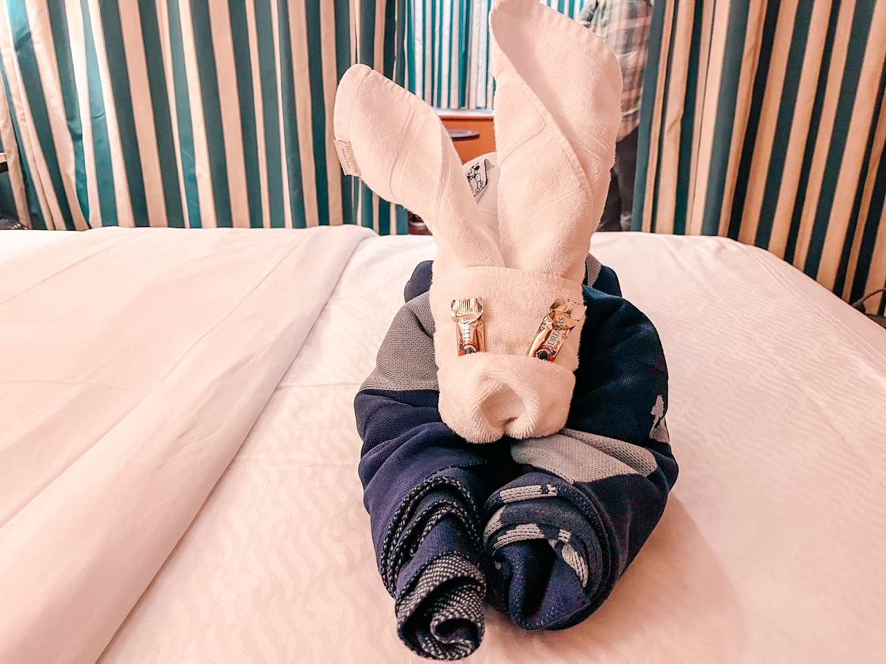Towel Friends Disney Cruise Bunny
