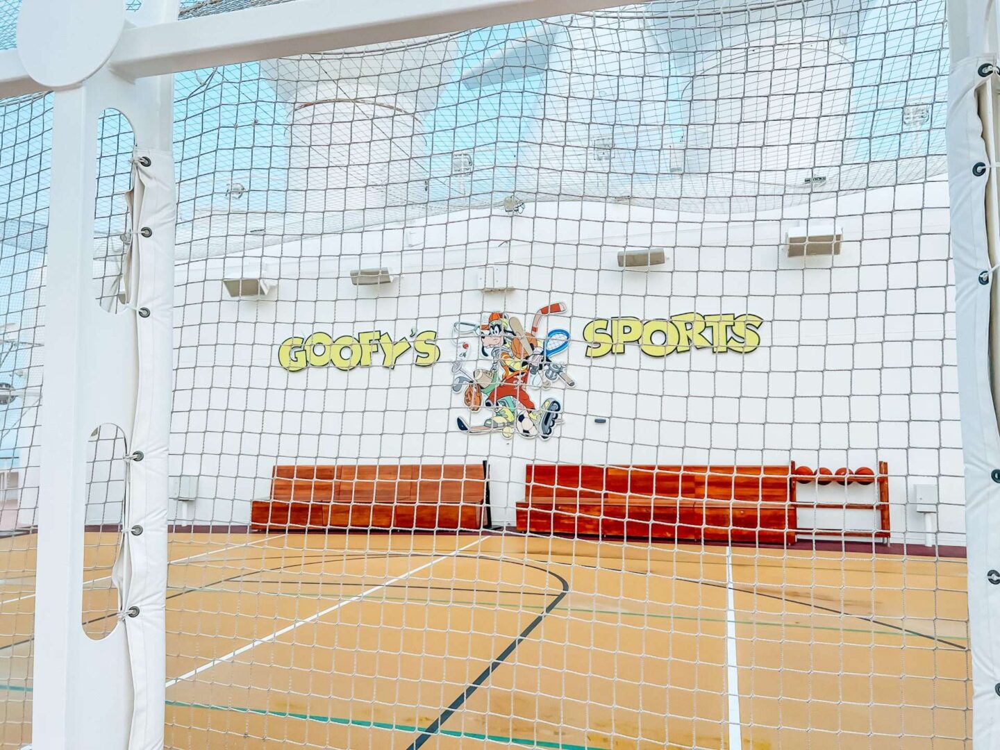Goofy sports Recreation Basketball Disney Fantasy