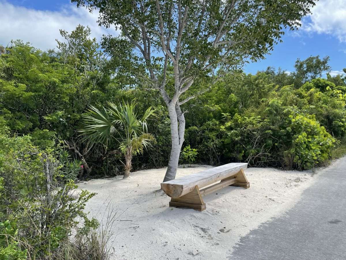Bench Disney Cruise Castaway Cay