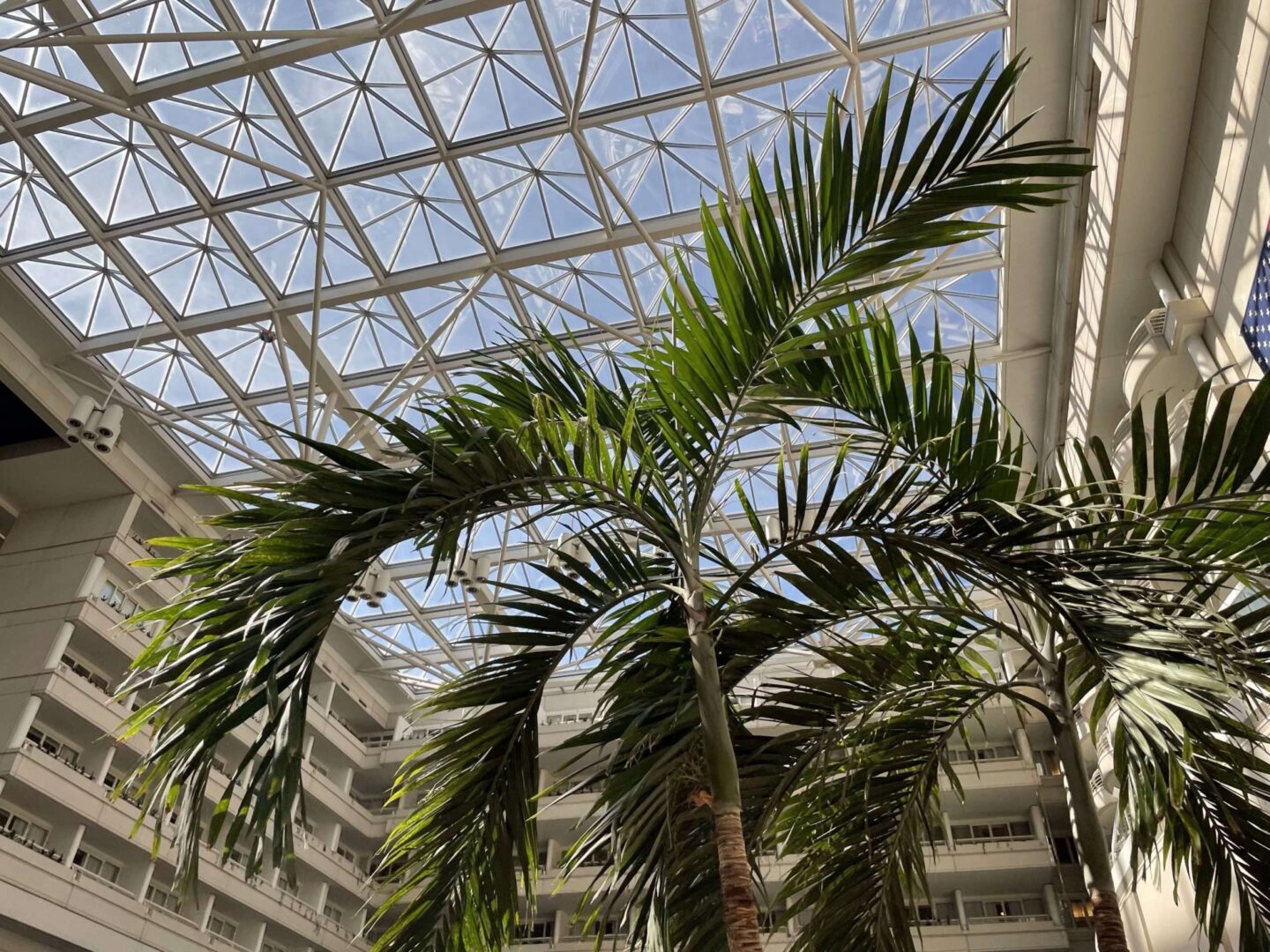 Atrium at MCO Hyatt Regency Airport Hotel