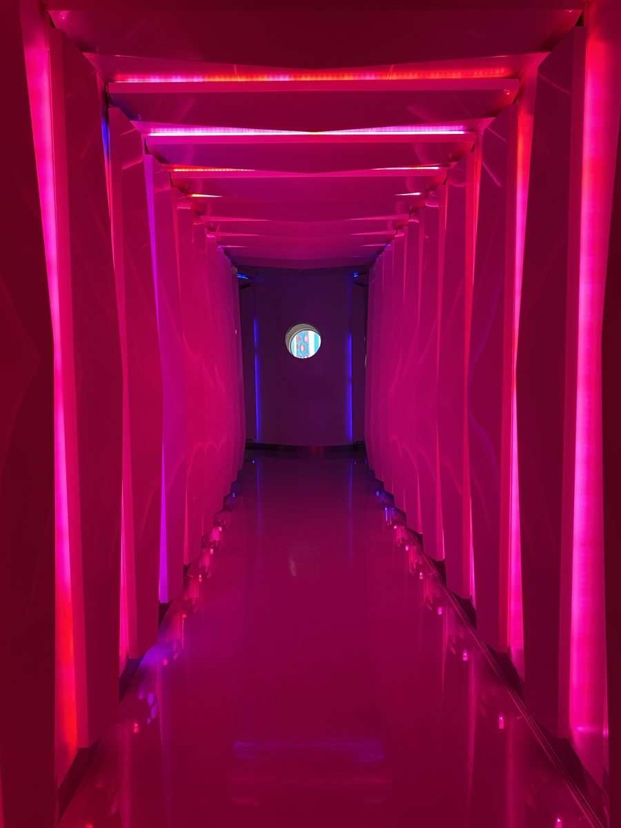 Vibe entrance on Disney Cruise