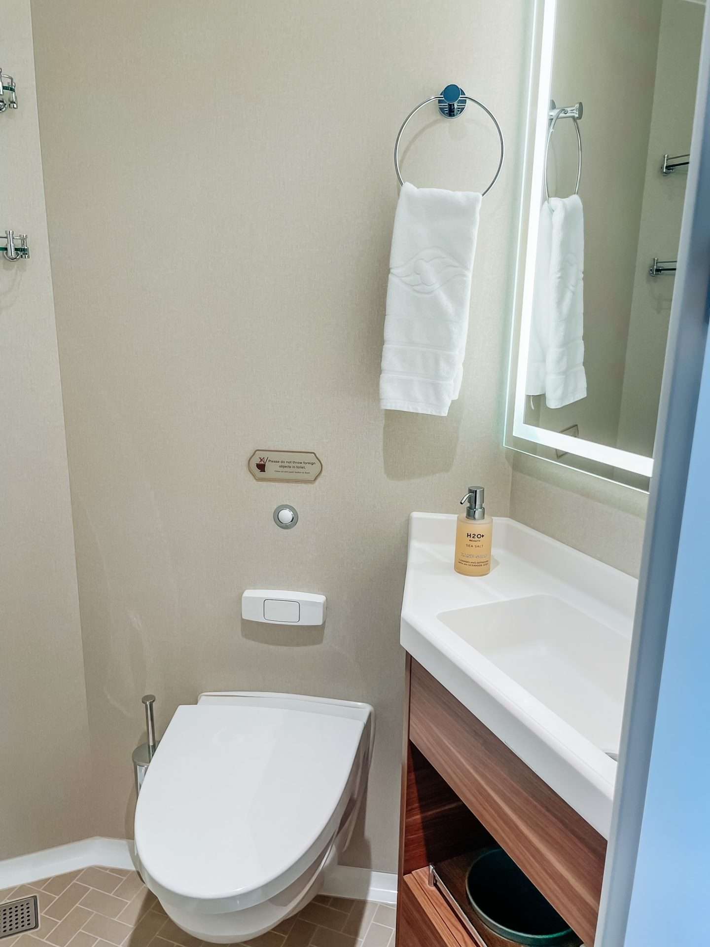 Disney Wish Bathroom