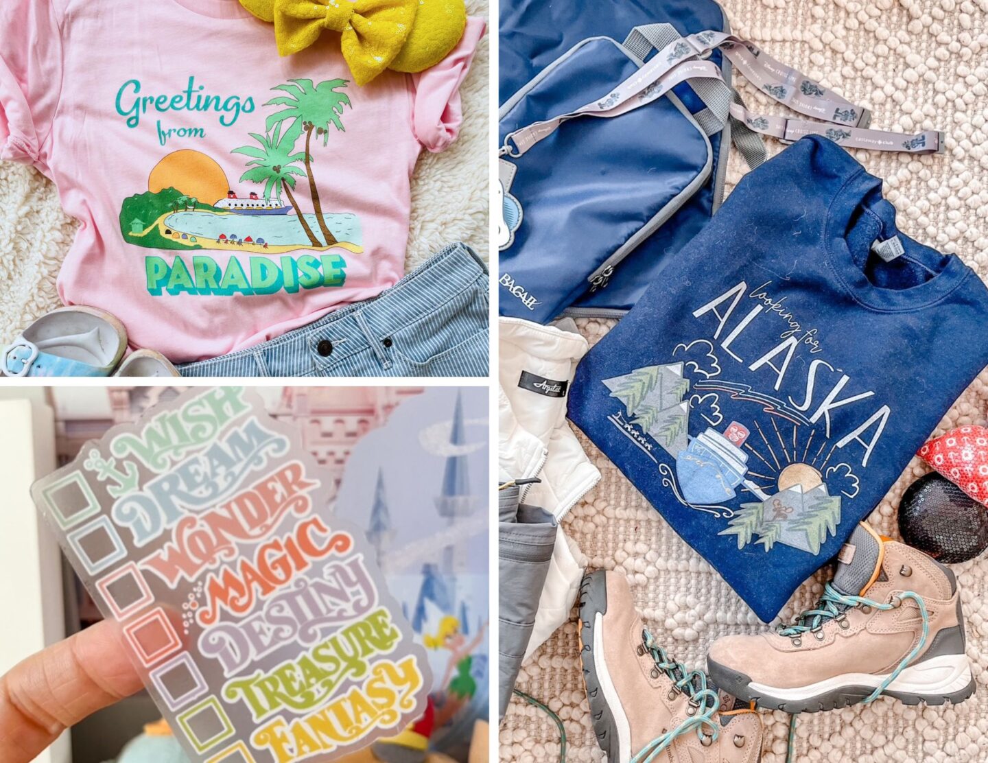 Disney Cruise Shirts and Magnets and Stickers