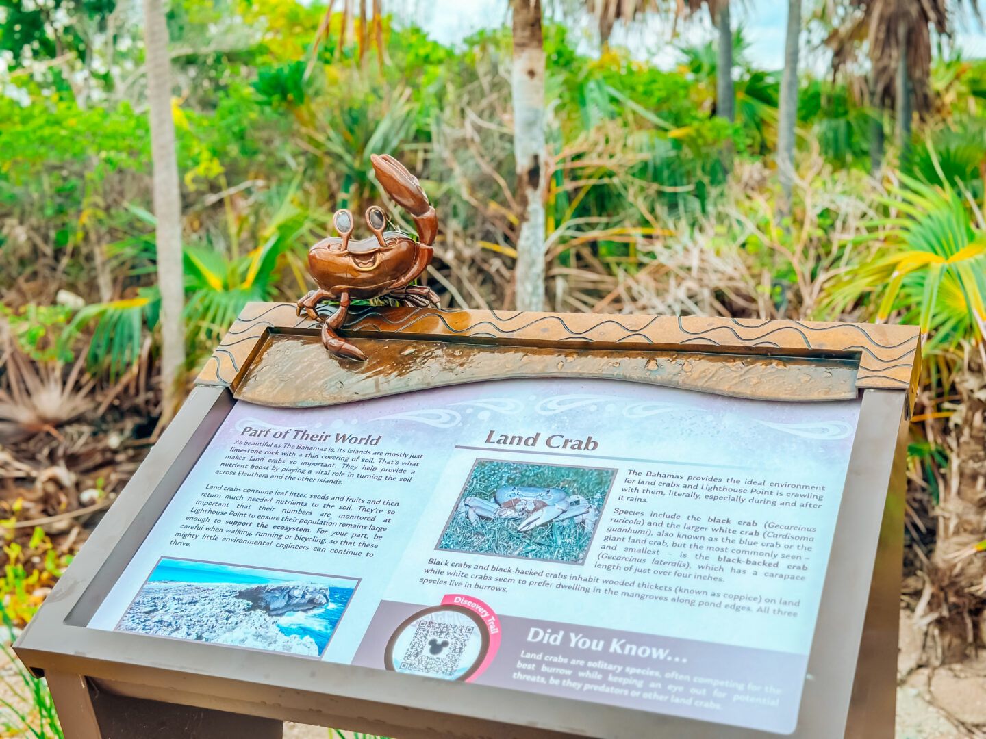 Disney Trail Placard with QR code teaching guests all about the ecosystem on Eleuthera. Disney's Lookout Cay at Lighthouse point.