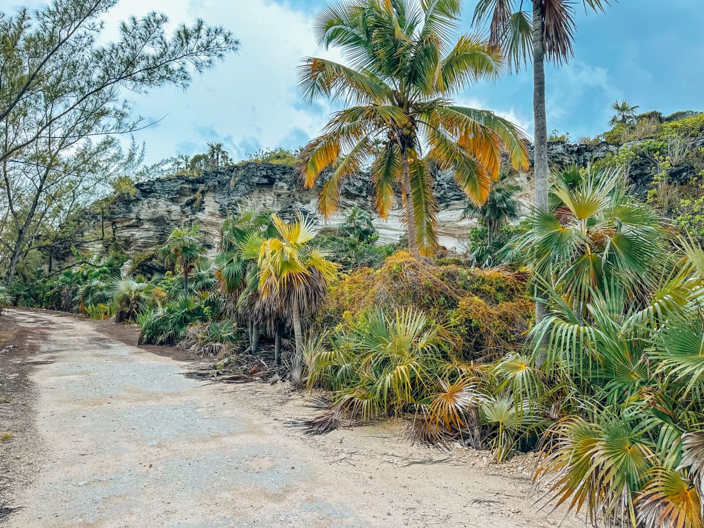 Nature Trail at Disney's Lookout Cay, path that leads to historic Lighthouse at Lighthouse Point.