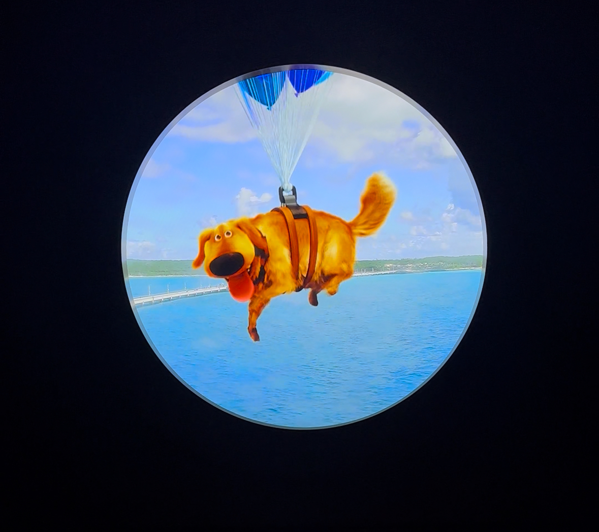 Disney Dream 8671 inside stateroom with magical porthole scene with Doug from Up